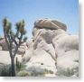 Sea Mountain Resort - Desert Hot Springs