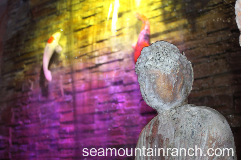 Sea Mountain Nude Lifestyles Spa Resort 760-251-4744
